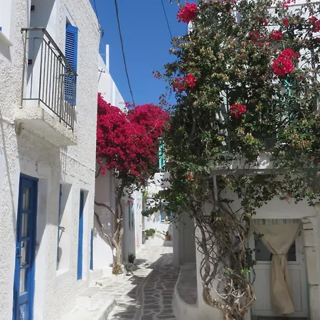 Sarah's Parikia (Paros)
